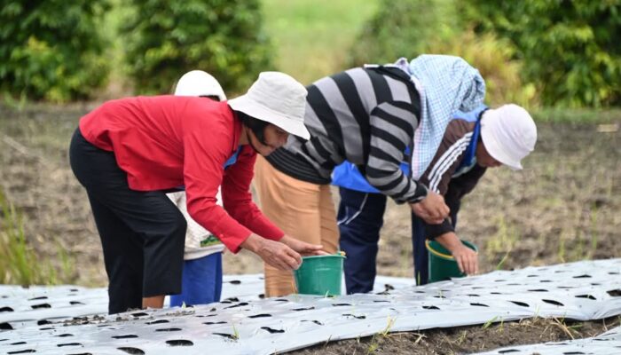 Petani Garda Terdepan Wujudkan Swasembada Pangan