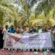 Dorong Peningkatan TBS, PT PLB Edukasi Petani Perawatan Kebun Kelapa Sawit