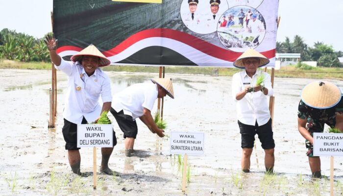 Wagubsu Tanam Padi di Deliserdang, Kebutuhan Beras Sumut April 145,247 Ton