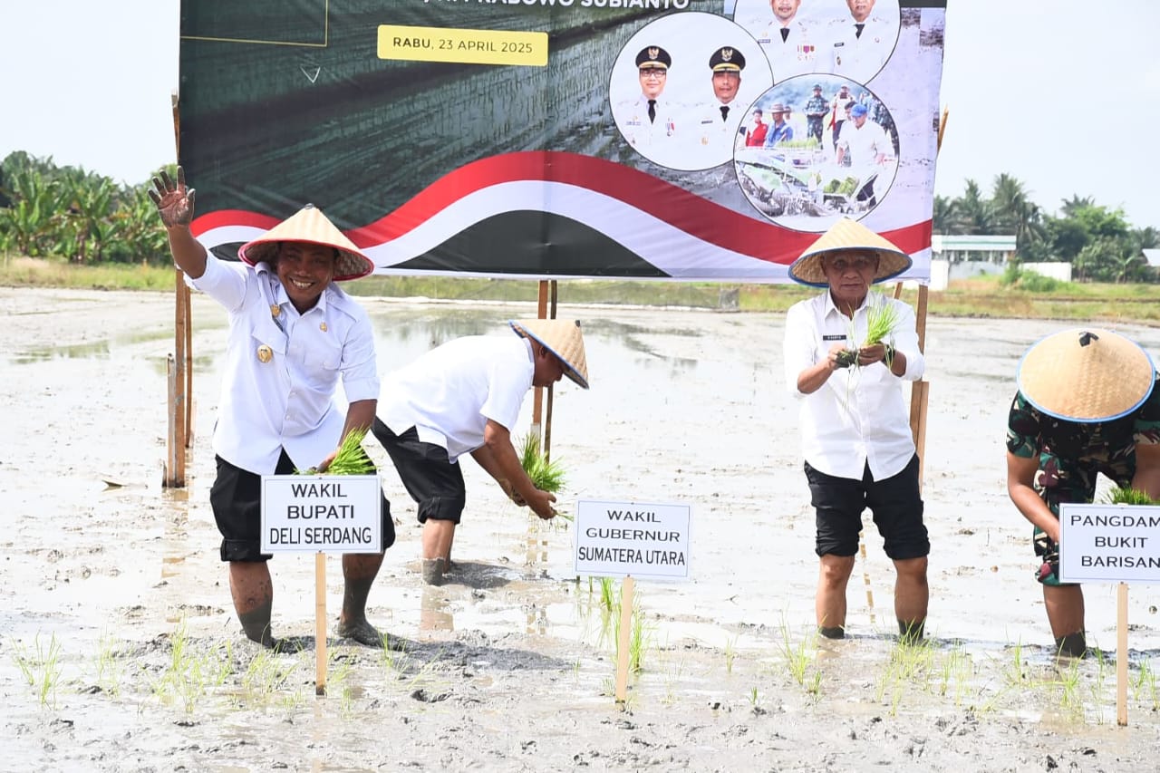Wagubsu Tanam Padi di Deliserdang, Kebutuhan Beras Sumut April 145,247 Ton