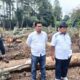 Kapolres Taput Bantah 'Petieskan' LP Pengrusakan Kayu Pinus Di Lahan Bersertifikat