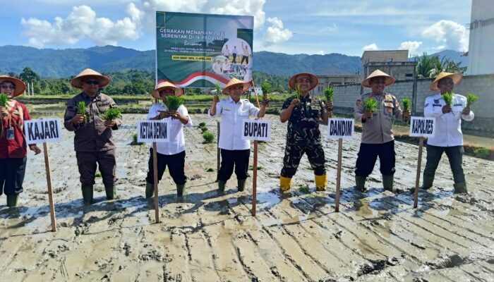 Abdya Tanam Padi Serentak Daring Dengan Presiden RI