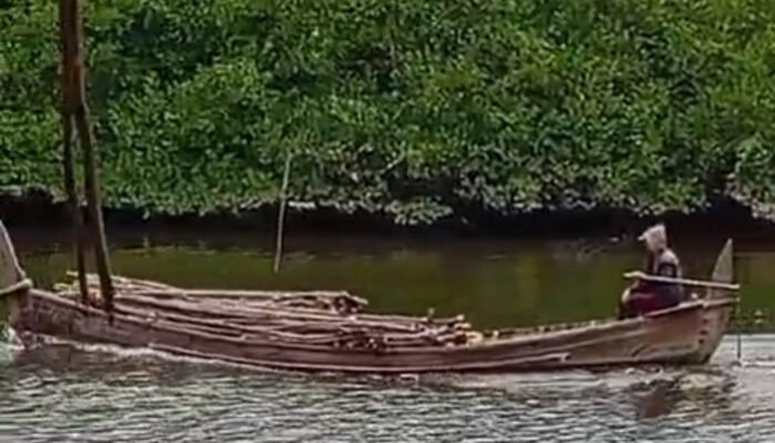 Kerusakan Hutan Mangrove Pesisir Timur Aceh Mengkhawatirkan