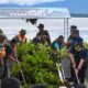 BUPATI Humbahas Oloan Paniaran Nababan berbaur dengan TNI membersihkan eceng gondok di pinggiran Danau Toba. Waspada/Ist