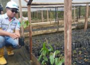 Jaga Kelestarian Alam, PT NSHE Tanam 8 Ribu Bibit Pohon Berbagai Jenis