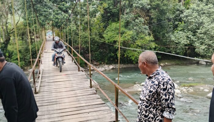 Kerusakan Jembatan Gantung Geunie Hambat Program Ketahanan Pangan