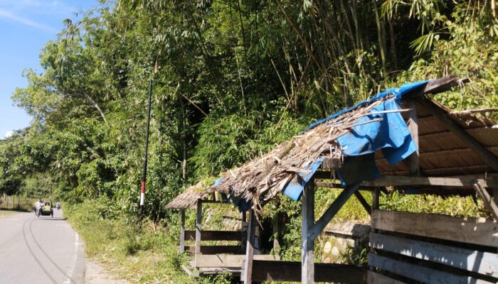 Rumput Liar Ganggu Pemakai Jalan Kecamatan Di Agara