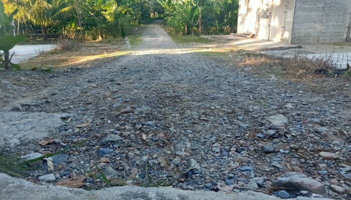 Digerus Banjir, Jalan Rusak Di Abdya Luput Dari Perhatian