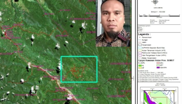 Mohon Atensi Kapolda Sumut, Hutan Di Palas Dijadikan Kebun Sawit