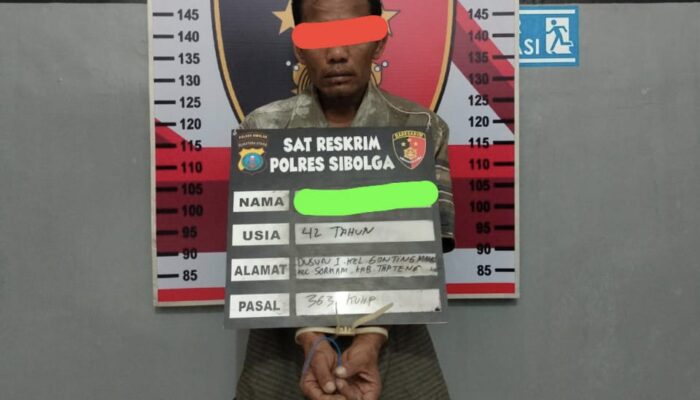 Curi HP, Warga Sorkam Diamankan Polisi