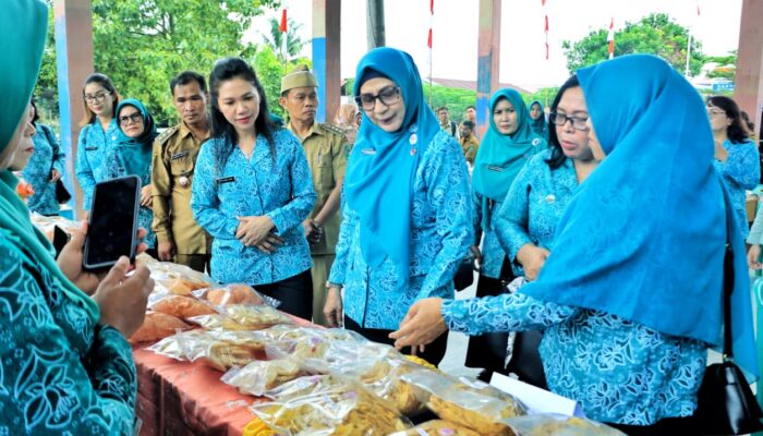 Ketua TP PKK Simalungun Bina 10 Nagori Percontohan, Perlu Kerja Sama Semua Pihak