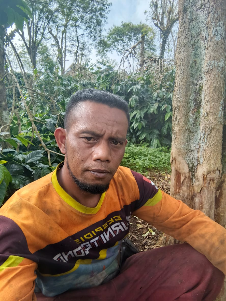 Harum Kopi Arabica Gayo, Cerita dari Lereng Lukup Sabun