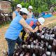 PLN UPP SBU 1 Site Visit Komprehensif Proyek T/L 150 kV Blang Pidie – Tapak Tuan