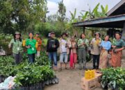 TPL Beri Pelatihan Dan Bantuan 3000 Bibit Kopi Kepada Warga