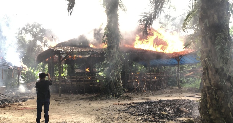 Polisi Bakar Lokasi Judi Sabung Ayam Pancurbatu