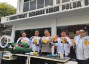 Siber Polda Sumut Ungkap Pornografi Daring