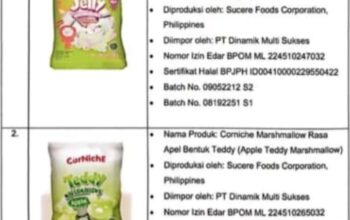 Ini Dia 9 Produk Mengandung Babi Temuan BPJPH, 7 Diantaranya Bersertifikat Halal