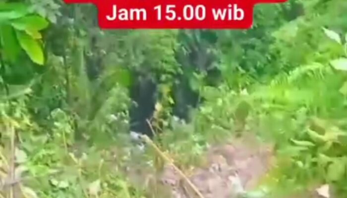 Pandu Ambulans, Minibus Avanza Masuk Jurang Lae Kombih