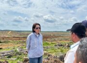 Dukungan PalmCo Untuk Kartini Masa Kini, Berkarir Di Perkebunan Bukan Sekadar Mimpi