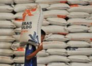 Posisi Stok Cadangan Beras Pemerintah 2025 Semakin Kuat