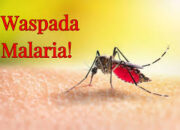Sejumlah Daerah Masih Tinggi Malaria, Sumut Targetkan Bebas Malaria 2030