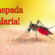 Sejumlah Daerah Masih Tinggi Malaria, Sumut Targetkan Bebas Malaria 2030