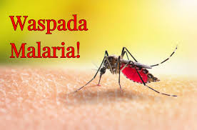 Sejumlah Daerah Masih Tinggi Malaria, Sumut Targetkan Bebas Malaria 2030