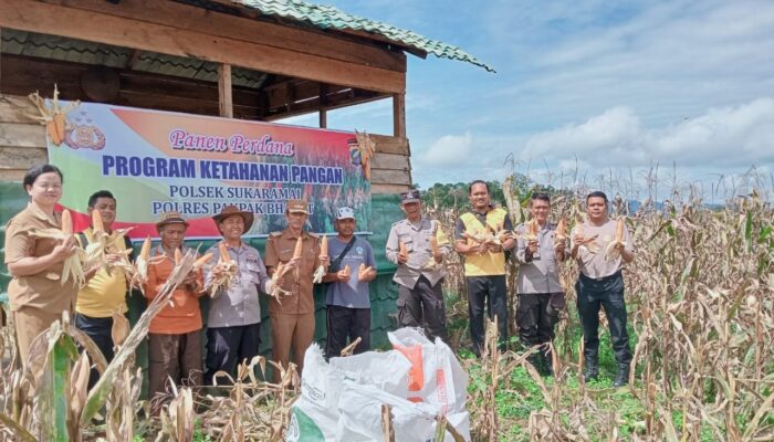 Polsek Sukaramai Panen Perdana Progam Ketahanan Pangan Tahun 2025