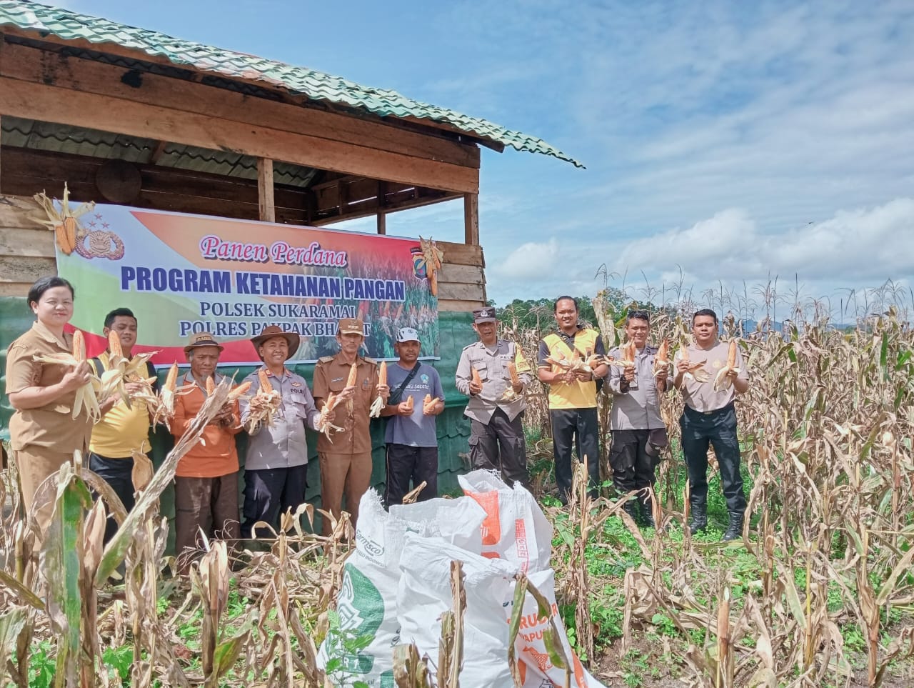 POLSEK Sukaramai bersama Camat Siempat Rube melakukan panen perdana Progam Ketahanan Pangan, Selasa (15/4) sekira pukul 09.00 s/d 10.30 wib di Desa Kuta Jungak Kecamatan Siempat Rube Kabupaten Pakpak Bharat. Waspada/Ist