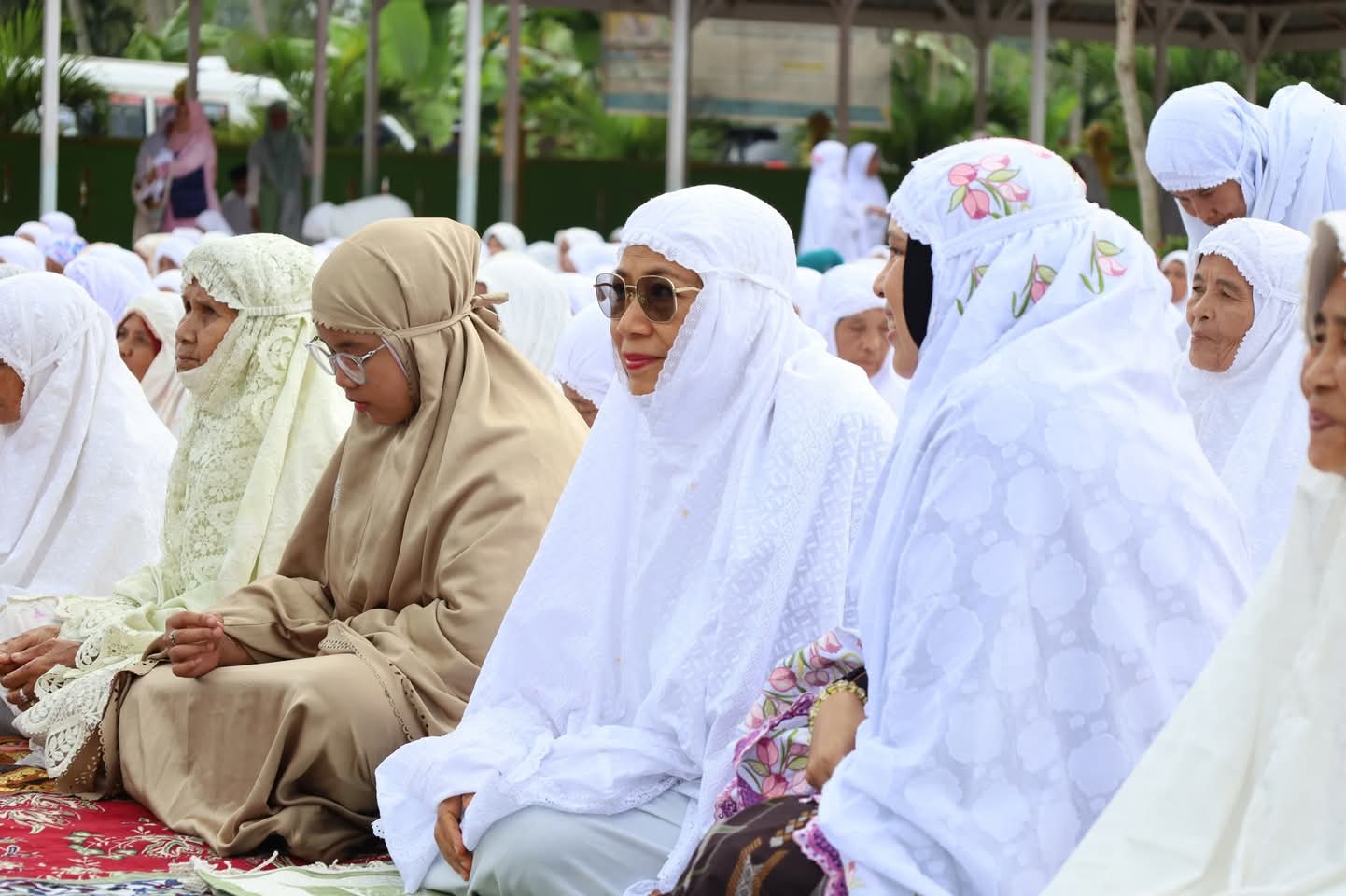 Bupati Madina Bersama Ketua Partai Hadiri Pengajian Tuan Nalomok Bupati Madina Bersama Ketua Partai Hadiri Pengajian Tuan Nalomok
