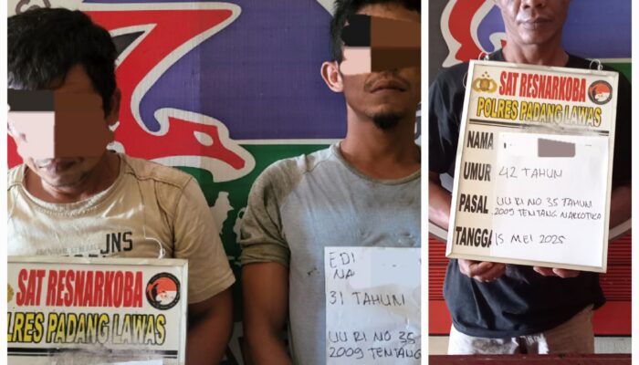 Satres Narkoba Polres Palas Amankan Tersangka Pengedar Dan Pengguna Narkoba