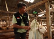 Tak Sekadar Kurban, Dompet Dhuafa Waspada Tegaskan Pentingnya Quality Control