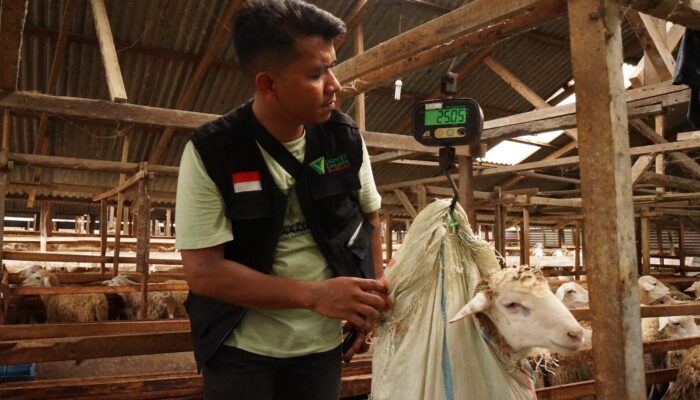 Tak Sekadar Kurban, Dompet Dhuafa Waspada Tegaskan Pentingnya Quality Control