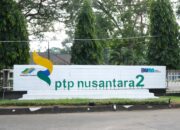 SHT Tak Dibayar, Pensiunan PTPN II Ngadu Ke DPRD Sumut