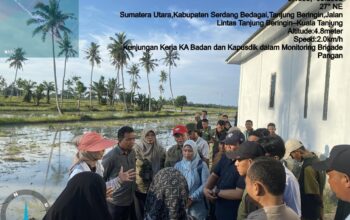 Tingkatkan Produktivitas, Brigade Pangan Harus Manfaatkan Alsintan