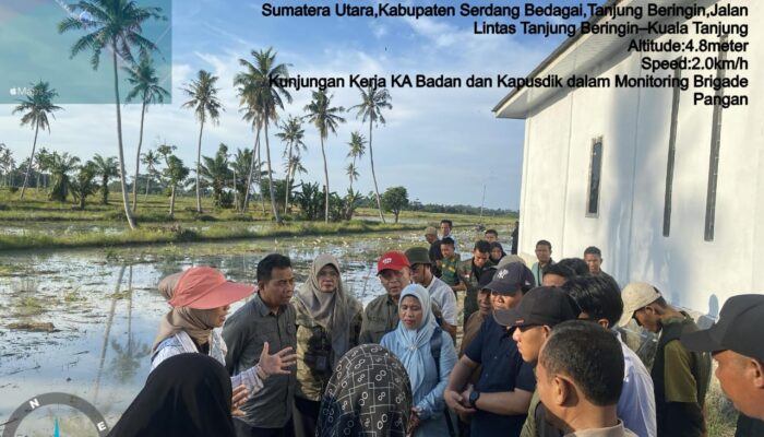 Tingkatkan Produktivitas, Brigade Pangan Harus Manfaatkan Alsintan