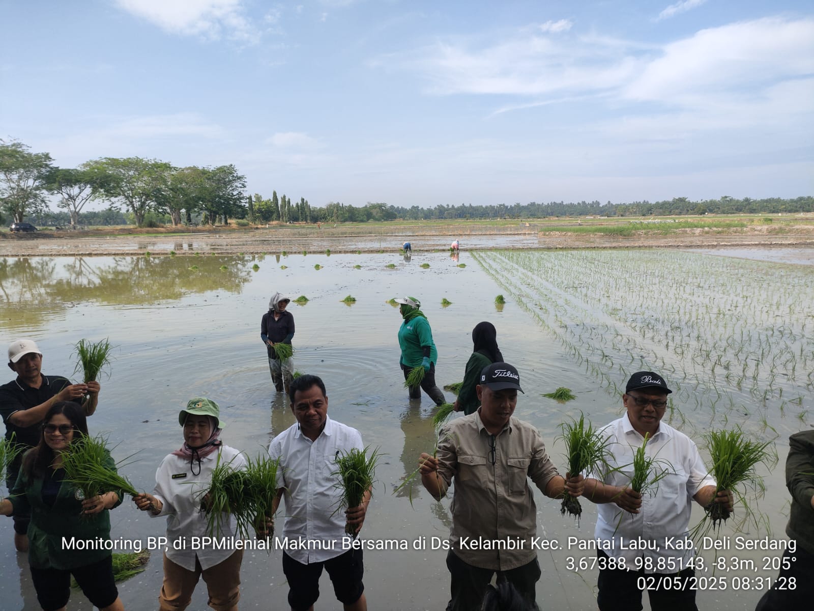 Dorong Swasembada Pangan, Kementan Lakukan Gerakan Tanam Serentak Di Deli Serdang Dorong Swasembada Pangan, Kementan Lakukan Gerakan Tanam Serentak Di Deli Serdang