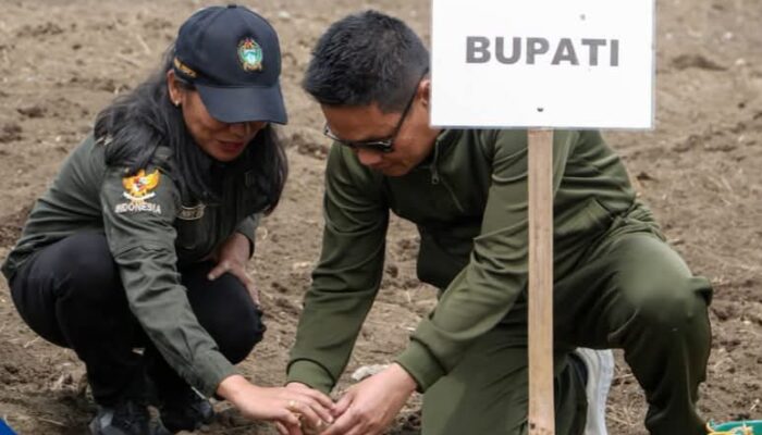 Bupati Oloan Tanam Kentang