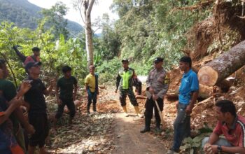Curah Hujan Tinggi, Jalan Lintas Provinsi Di Aceh Timur Tertutup Longsor