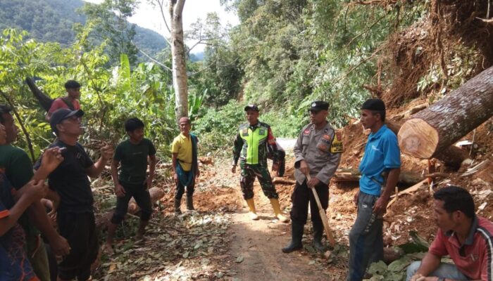 Curah Hujan Tinggi, Jalan Lintas Provinsi Di Aceh Timur Tertutup Longsor Curah Hujan Tinggi, Jalan Lintas Provinsi Di Aceh Timur Tertutup Longsor