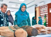 TP PKK Salah Satu Pilar Kokoh Pembangunan Daerah