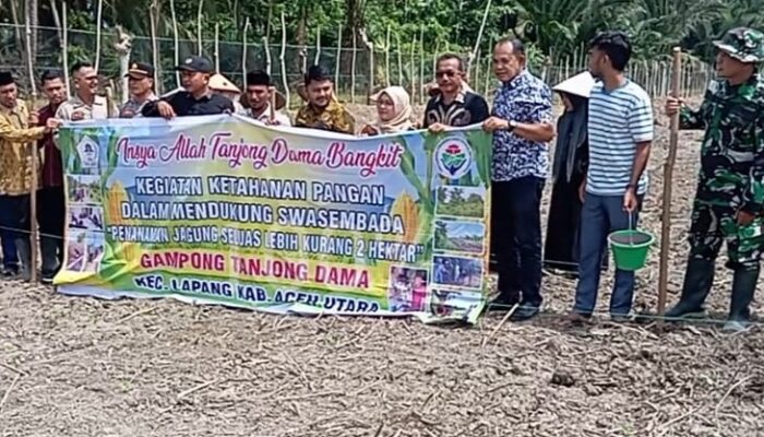 Petani Tanjong Dama Kembangkan Jagung Untuk Ketahanan Pangan