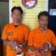 Dua terduga pengedar sabu, DPH, 25, dan VRS, 19, warga Jalan Sanif, Kecamatan Siborongborong ditahan Satres Narkoba Polres Taput untuk pengembangan, Sabtu (10/5). Waspada/ist