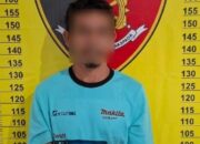 Polres Tapsel Tangkap Penganiaya Karyawan PT TPL