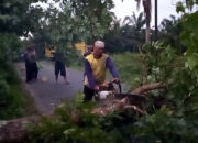 Angin Kencang Di Asahan, Pohon Tumbang Dan Rusak Rumah Warga