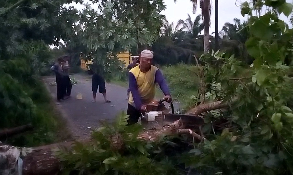 Angin Kencang Di Asahan, Pohon Tumbang Dan Rusak Rumah Warga