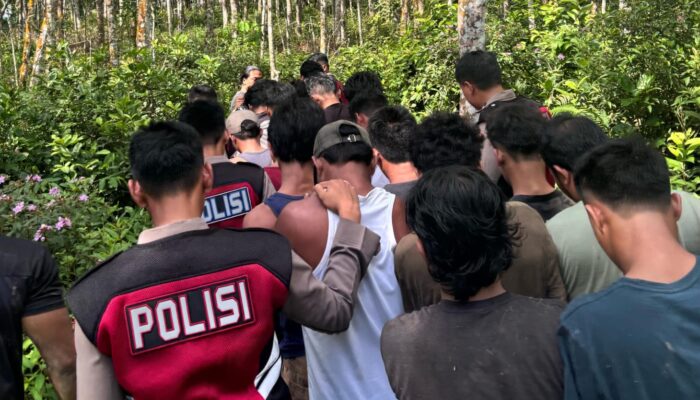 BNN Tapsel Rehab 20 Tersangka Narkoba