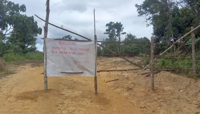 Resahkan Perambahan Hutan Di Sihapas, Masyarakat Blokade Jalan