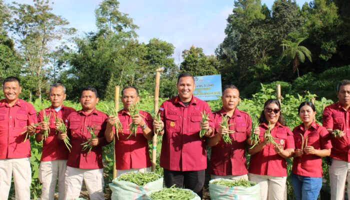 Lapas Kelas IIB Siborongborong Berhasil Panen 300 Kg Buncis
