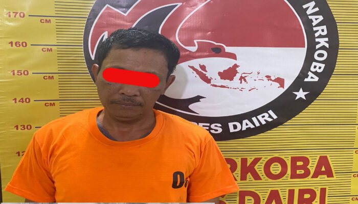 Sat Narkoba Polres Dairi Ringkus Pria Pemilik Ganja